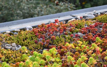the cost of Kibworth Harcourt green roof installation